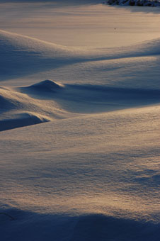 Estonian dunes