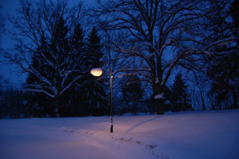 winter lamp