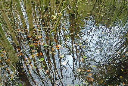 Wet hollow