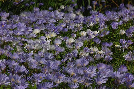 breezy spring
