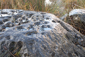 dawn rock