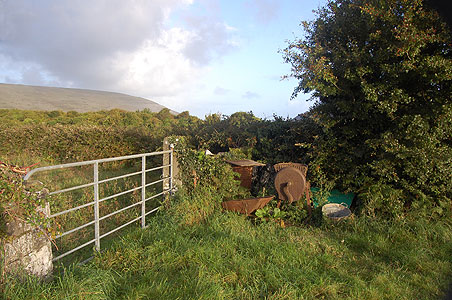 Farming 2010