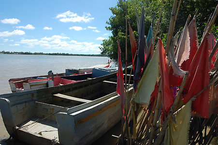 Javan flags