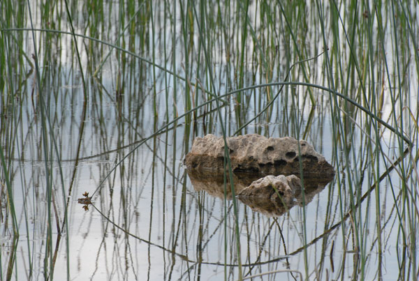 limestone lake