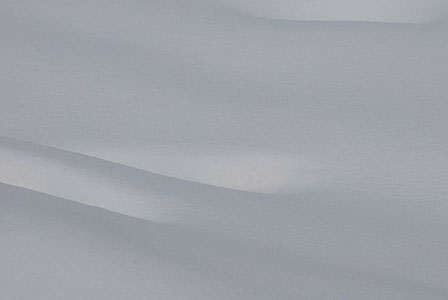 snow subtle