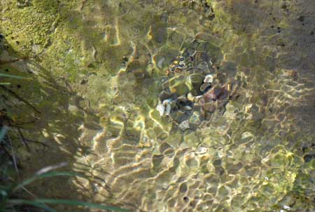 waterpebbles